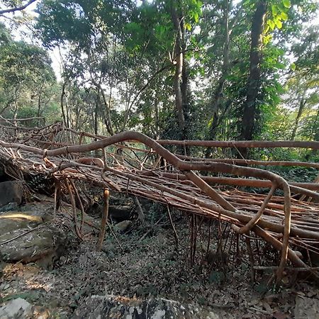 Living Roots Lodge Cherrapunji Extérieur photo
