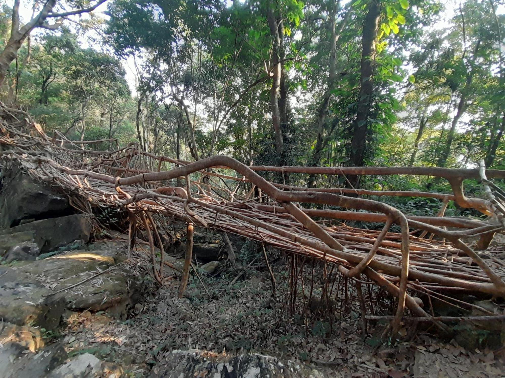 Living Roots Lodge Cherrapunji Extérieur photo